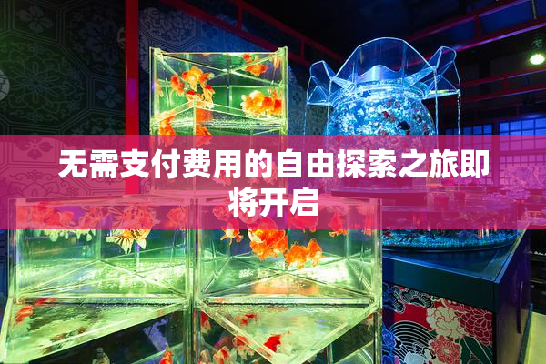 无需支付费用的自由探索之旅即将开启