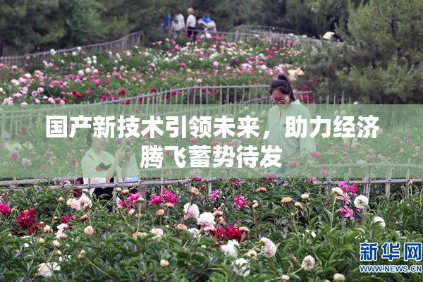 国产新技术引领未来，助力经济腾飞蓄势待发
