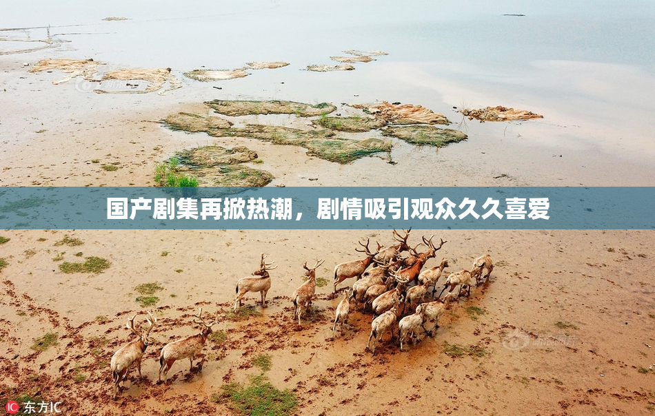 国产剧集再掀热潮，剧情吸引观众久久喜爱