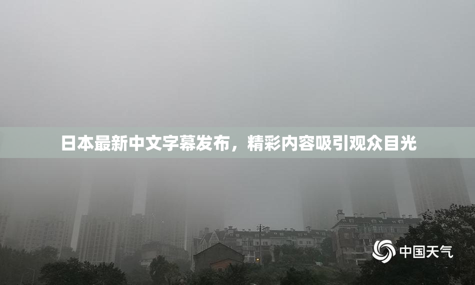 日本最新中文字幕发布，精彩内容吸引观众目光