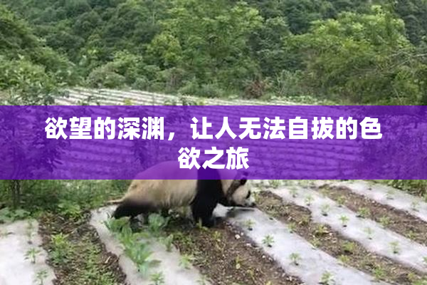 欲望的深渊，让人无法自拔的色欲之旅