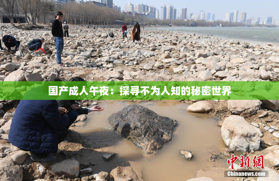 国产成人午夜：探寻不为人知的秘密世界