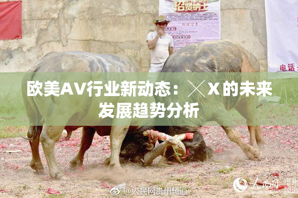 欧美AV行业新动态：╳Ⅹ的未来发展趋势分析