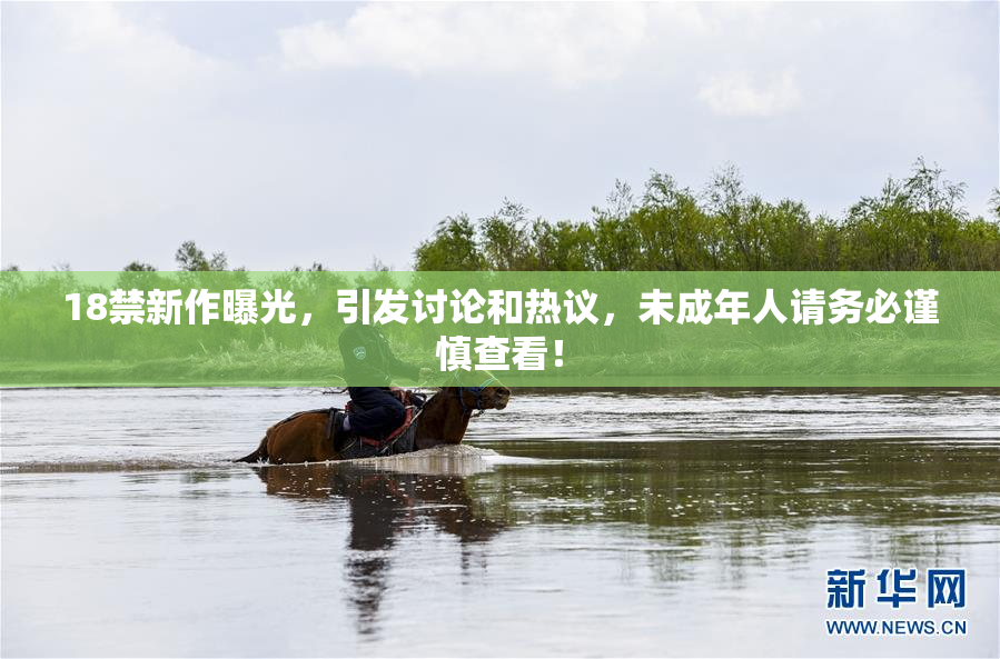 18禁新作曝光，引发讨论和热议，未成年人请务必谨慎查看！