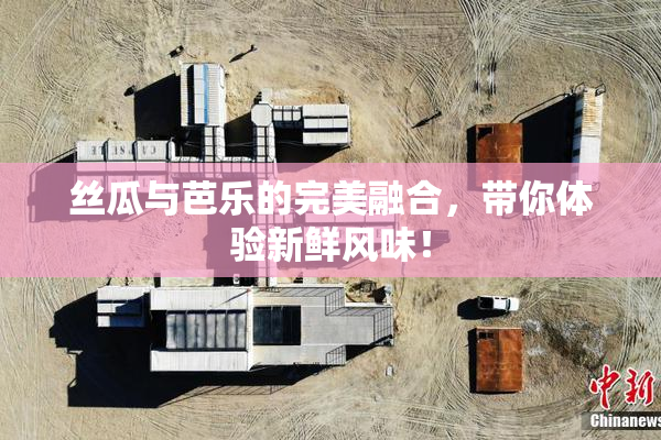 丝瓜与芭乐的完美融合，带你体验新鲜风味！