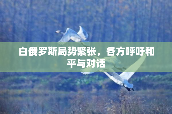 白俄罗斯局势紧张，各方呼吁和平与对话