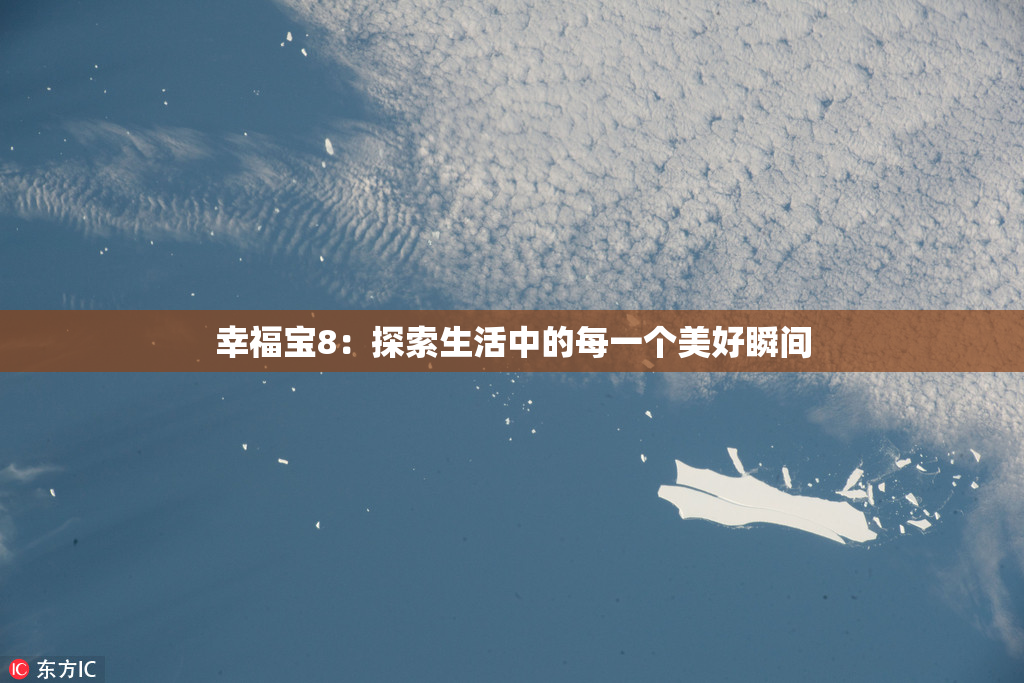 幸福宝8：探索生活中的每一个美好瞬间