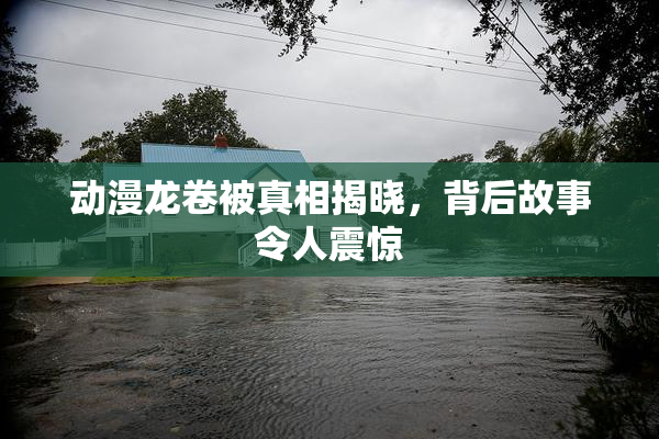 动漫龙卷被真相揭晓，背后故事令人震惊