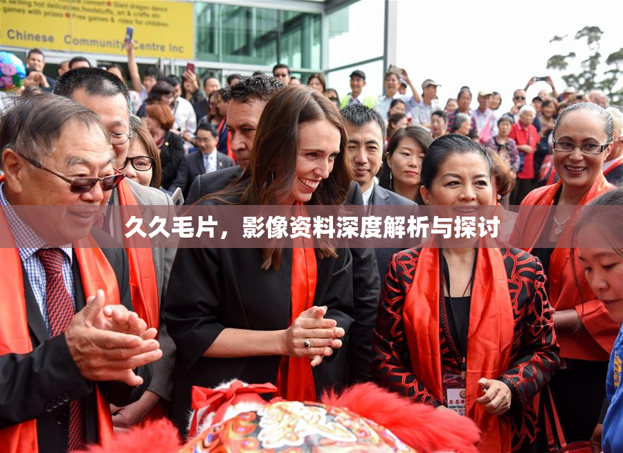 久久毛片，影像资料深度解析与探讨