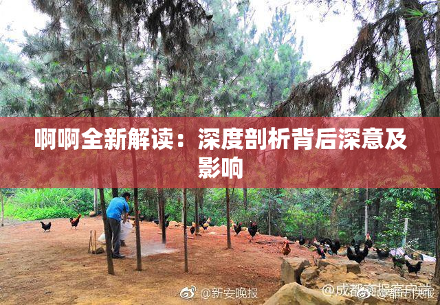 啊啊全新解读：深度剖析背后深意及影响