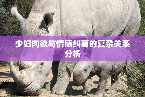少妇肉欲与情感纠葛的复杂关系分析