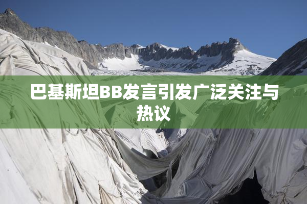 巴基斯坦BB发言引发广泛关注与热议