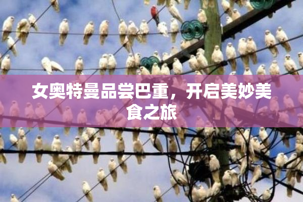 女奥特曼品尝巴重，开启美妙美食之旅