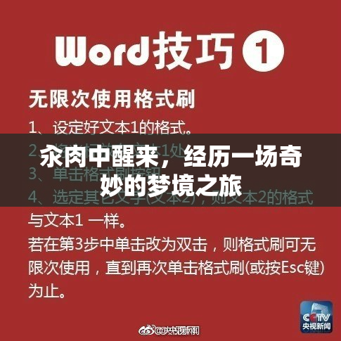 汆肉中醒来，经历一场奇妙的梦境之旅
