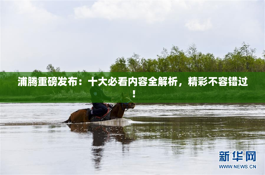 浦腾重磅发布：十大必看内容全解析，精彩不容错过！