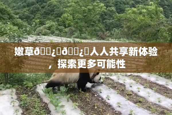 嫩草🌿‌🌿‌人人共享新体验，探索更多可能性