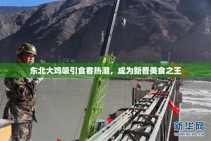 东北大鸡吸引食客热潮，成为新晋美食之王