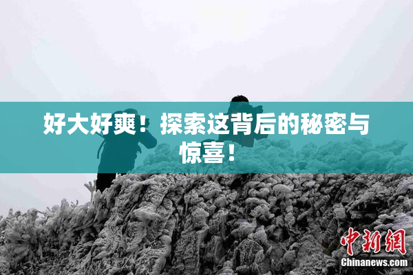 好大好爽！探索这背后的秘密与惊喜！