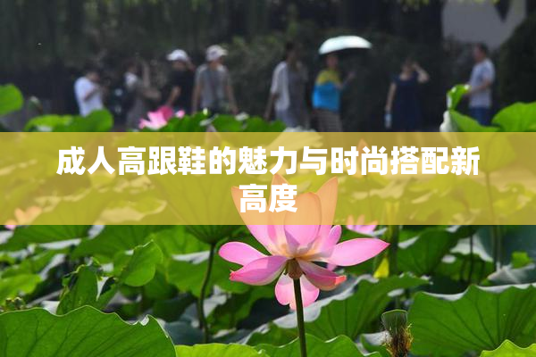成人高跟鞋的魅力与时尚搭配新高度