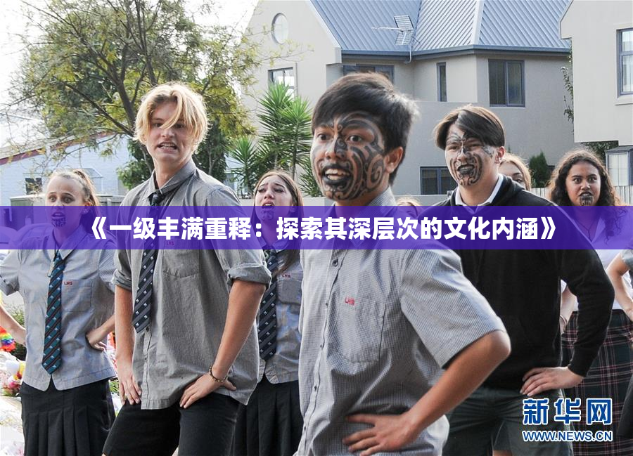 《一级丰满重释：探索其深层次的文化内涵》