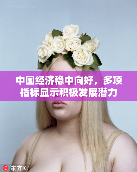 中国经济稳中向好，多项指标显示积极发展潜力