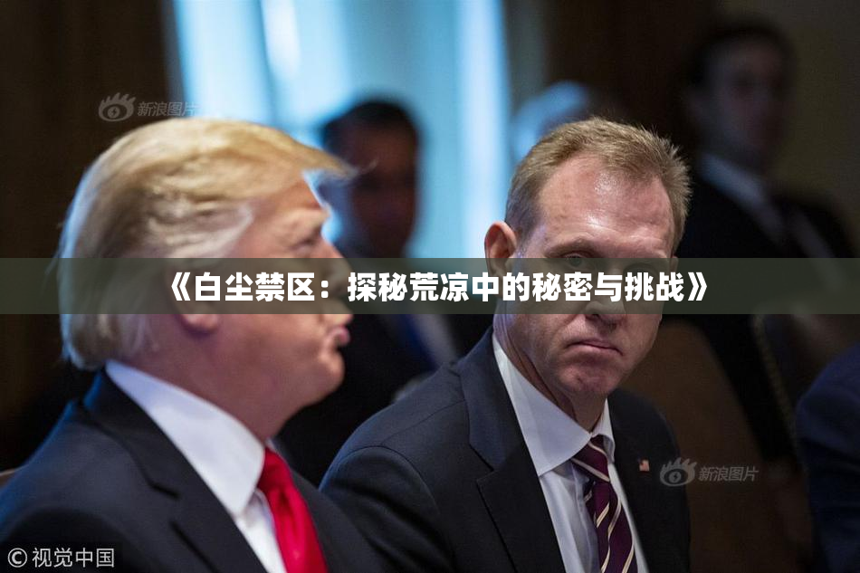 《白尘禁区：探秘荒凉中的秘密与挑战》