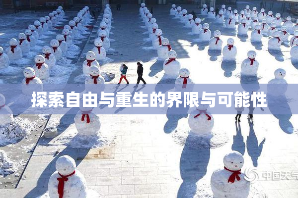 探索自由与重生的界限与可能性