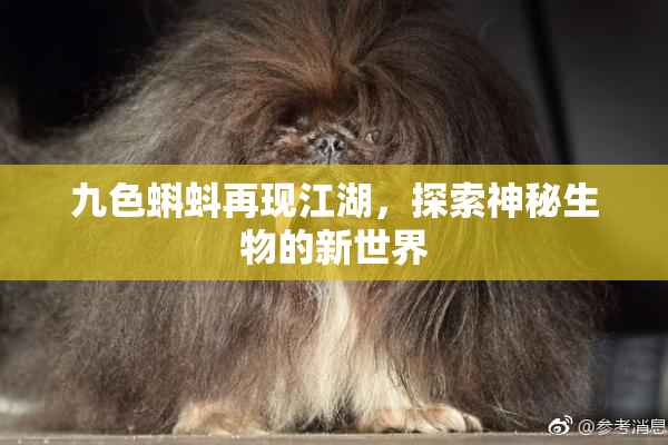 九色蝌蚪再现江湖，探索神秘生物的新世界