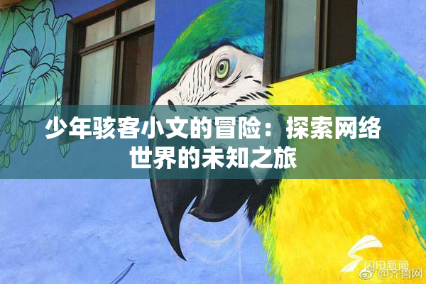 少年骇客小文的冒险：探索网络世界的未知之旅