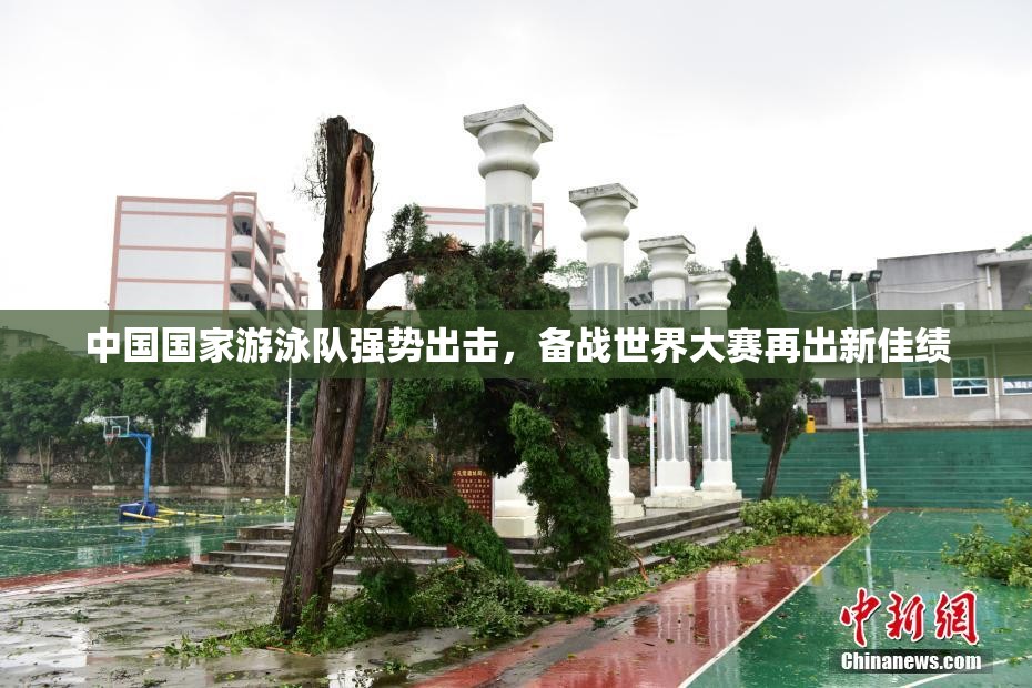 中国国家游泳队强势出击，备战世界大赛再出新佳绩