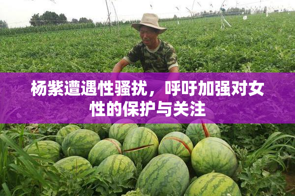 杨紫遭遇性骚扰，呼吁加强对女性的保护与关注