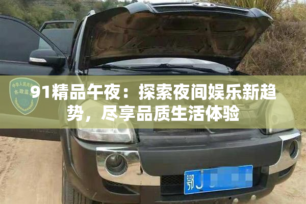 91精品午夜：探索夜间娱乐新趋势，尽享品质生活体验