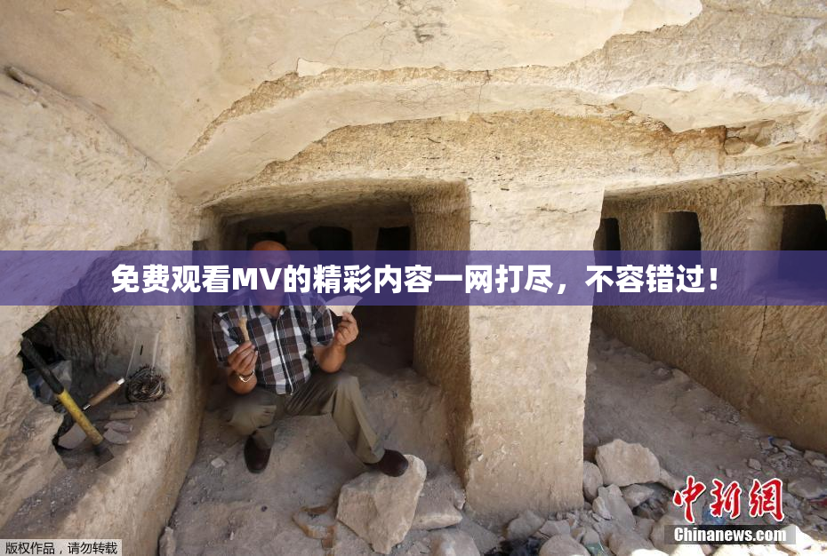 免费观看MV的精彩内容一网打尽，不容错过！