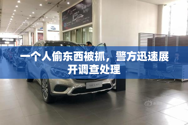 一个人偷东西被抓，警方迅速展开调查处理
