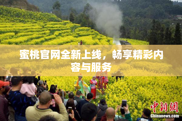 蜜桃官网全新上线，畅享精彩内容与服务