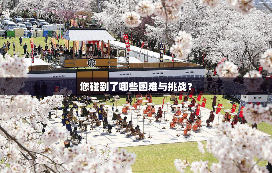 您碰到了哪些困难与挑战？