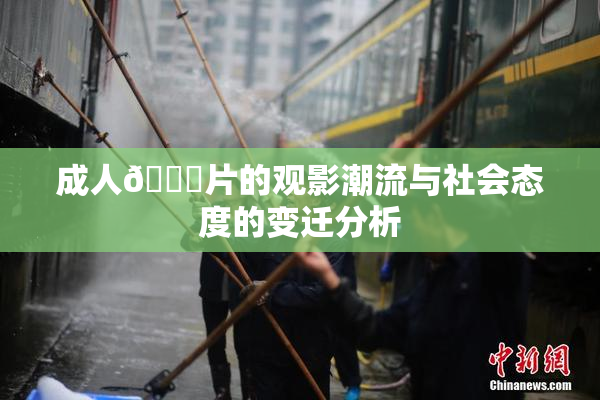 成人🔞片的观影潮流与社会态度的变迁分析