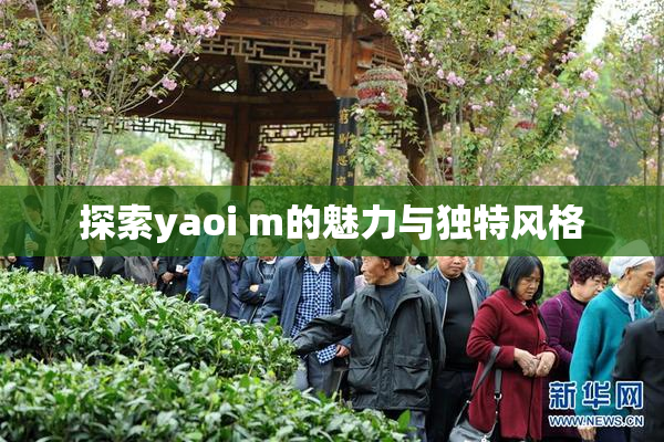 探索yaoi m的魅力与独特风格
