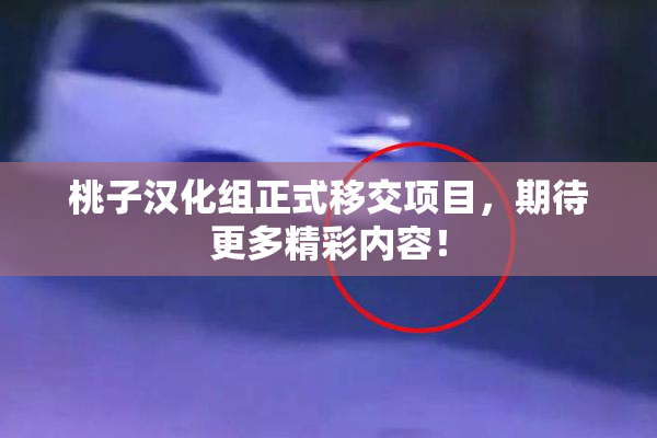桃子汉化组正式移交项目，期待更多精彩内容！