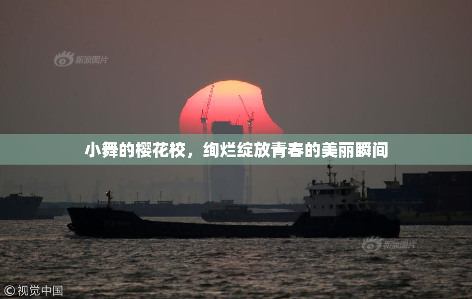 小舞的樱花校，绚烂绽放青春的美丽瞬间