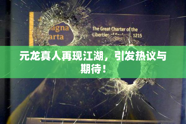 元龙真人再现江湖，引发热议与期待！