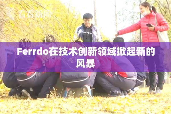 Ferrdo在技术创新领域掀起新的风暴