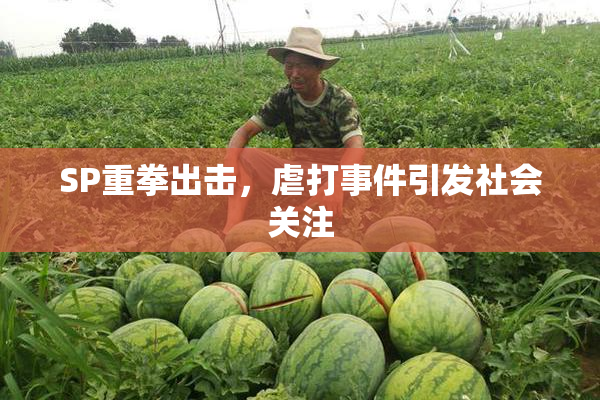 SP重拳出击，虐打事件引发社会关注