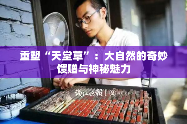 重塑“天堂草”：大自然的奇妙馈赠与神秘魅力