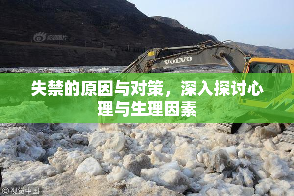 失禁的原因与对策，深入探讨心理与生理因素