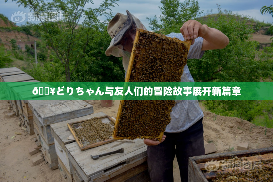 🔥どりちゃん与友人们的冒险故事展开新篇章