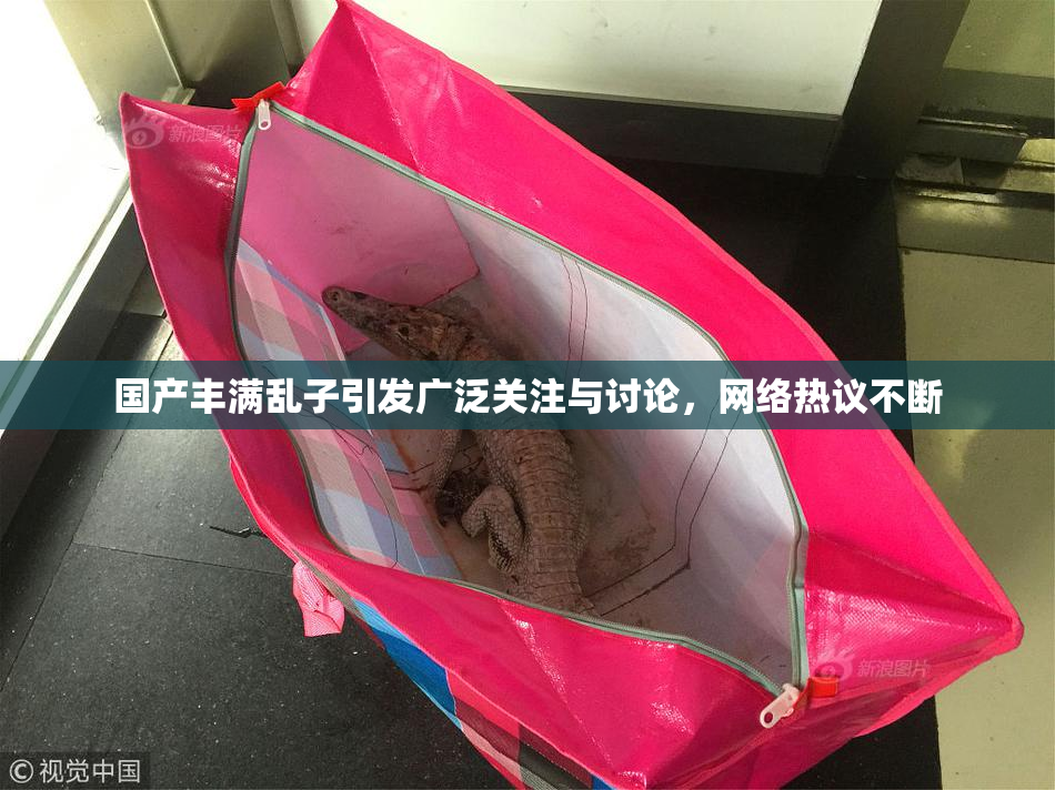 国产丰满乱子引发广泛关注与讨论，网络热议不断