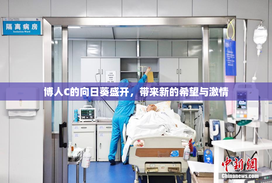 博人C的向日葵盛开，带来新的希望与激情