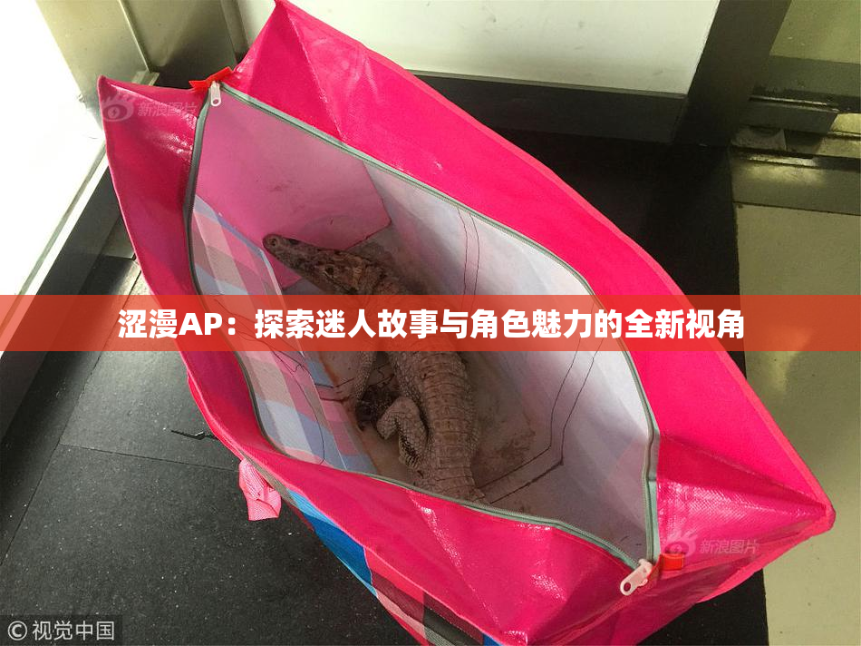 涩漫AP：探索迷人故事与角色魅力的全新视角