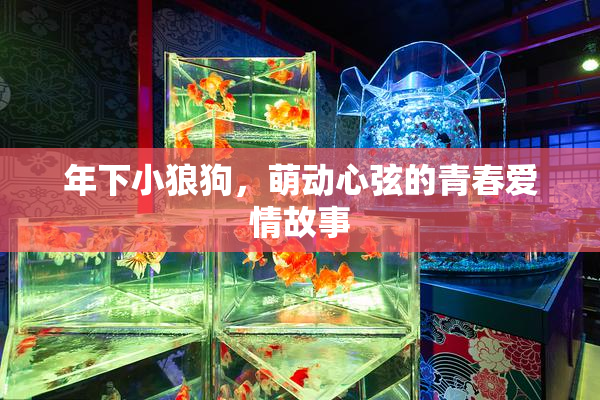 年下小狼狗，萌动心弦的青春爱情故事